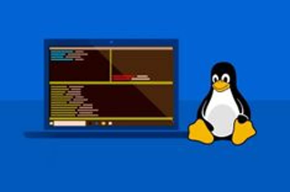 Microsoft Embraces Linux in New Developer-First Windows 11