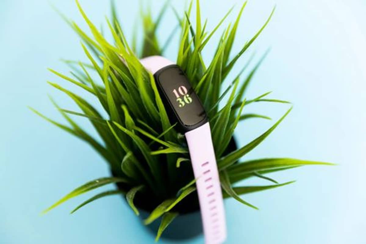 Fitbit Inspire 3 Hits $70 as Google Doubles Down on Budget Wearables