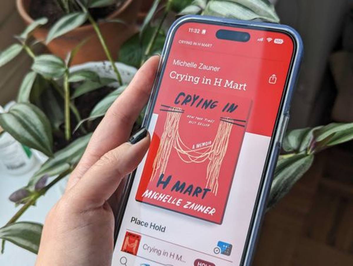 Libby Rolls Out AI Filter as Digital Libraries Brace for Bot Books