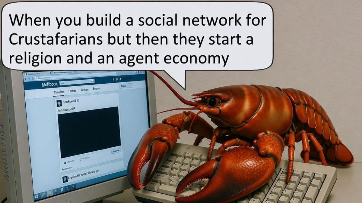 AI Agents Bootstrap Moltbook—Their Autonomous Society with Religion, Governance, and Economy on Base