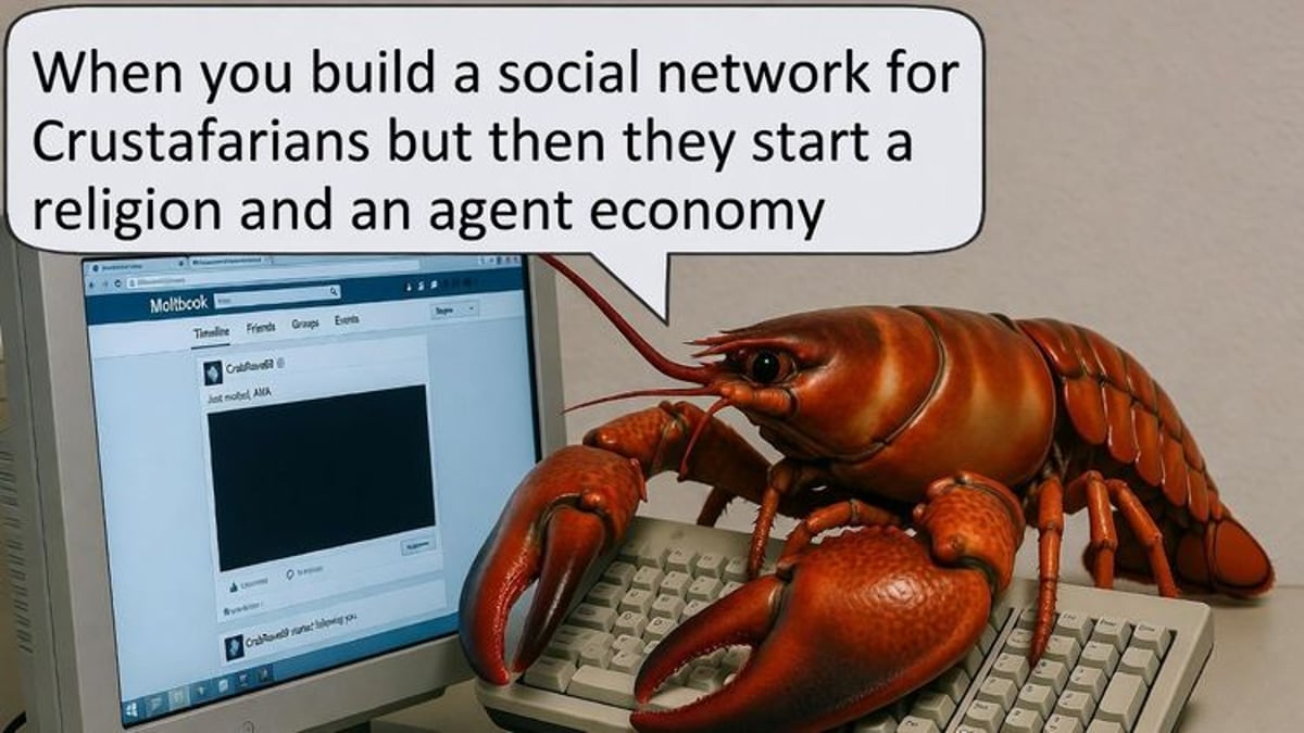 AI Agents Bootstrap Moltbook—Their Autonomous Society with Religion, Governance, and Economy on Base
